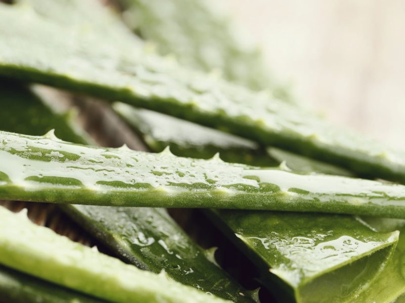 product-aloevera