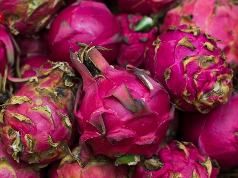 product-dragon-fruit